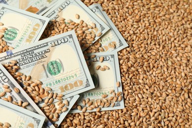 Photo of Dollar banknotes on wheat grains, closeup. Agricultural business