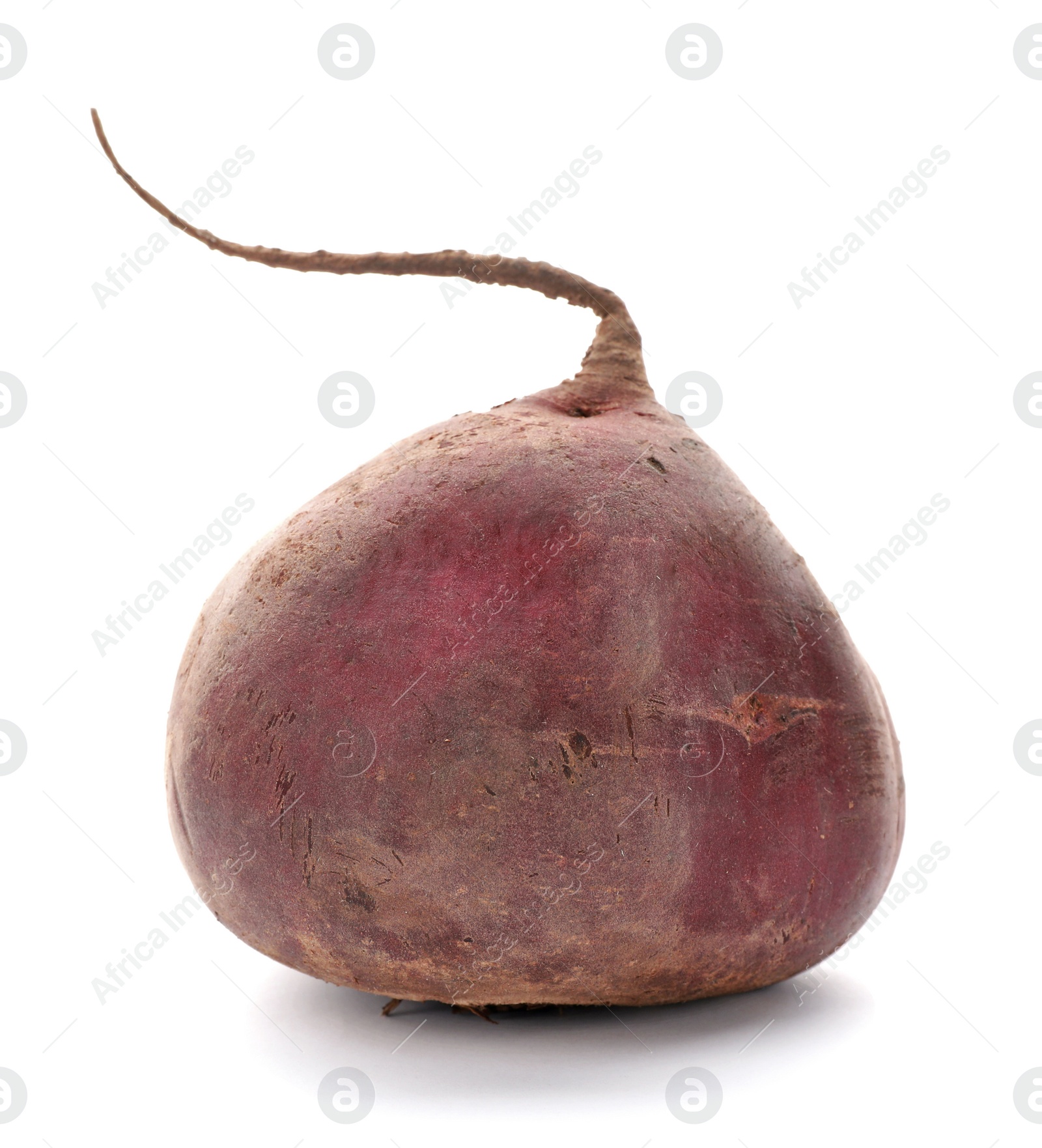 Photo of Organic beet on white background. Taproot vegetable