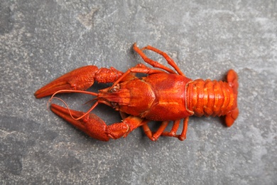 Photo of Delicious boiled crayfish on grey table, top view