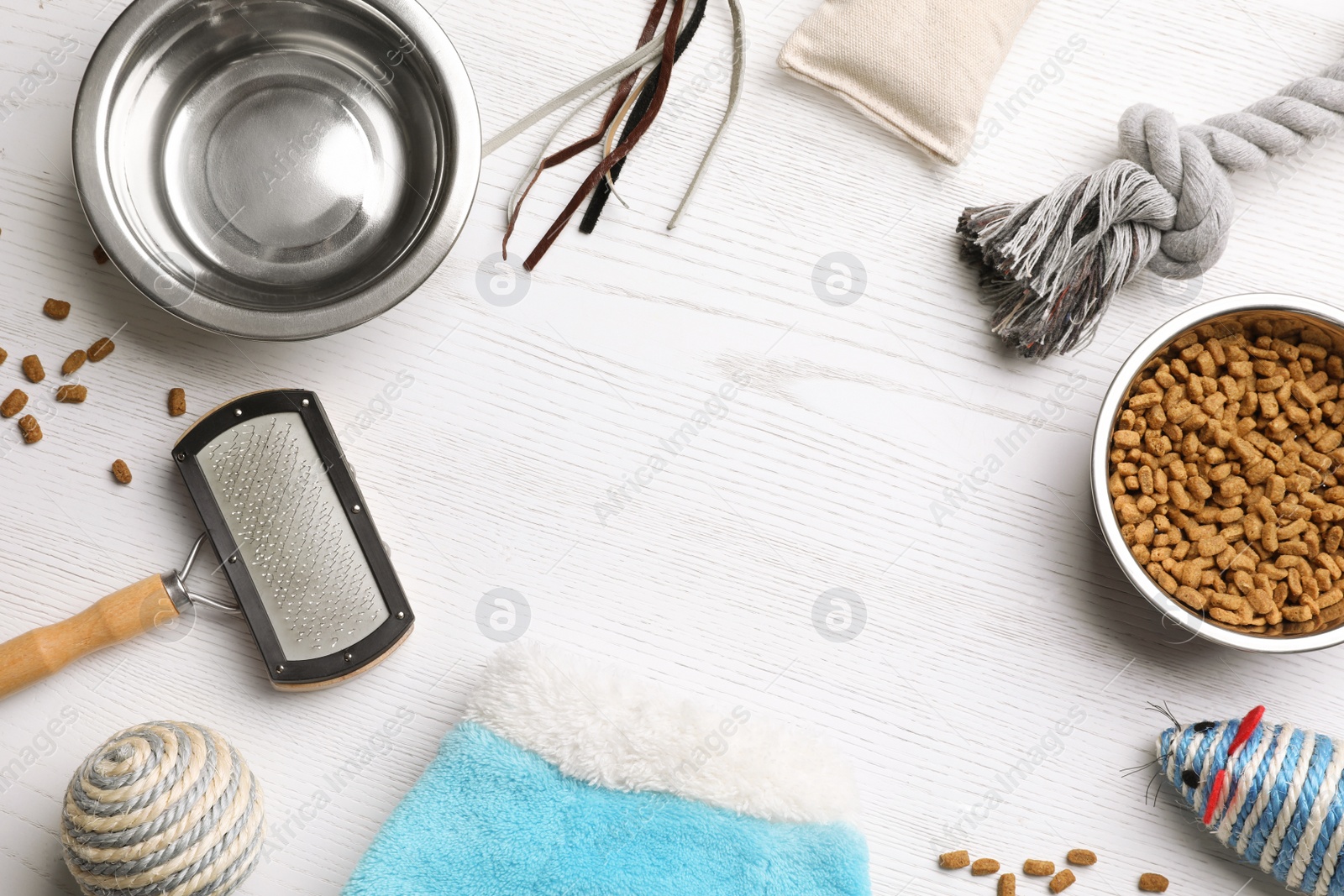 Photo of Flat lay composition with cat clothes, food and accessories on white wooden table. Space for text