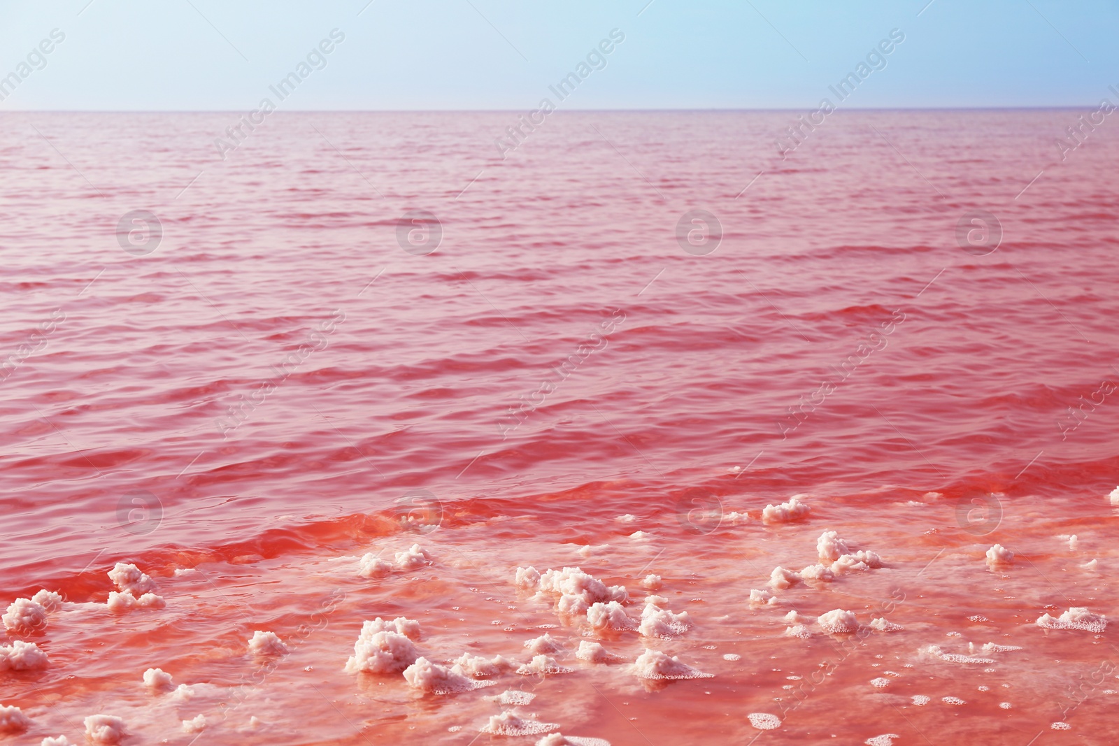 Photo of Beautiful view of pink lake on sunny day