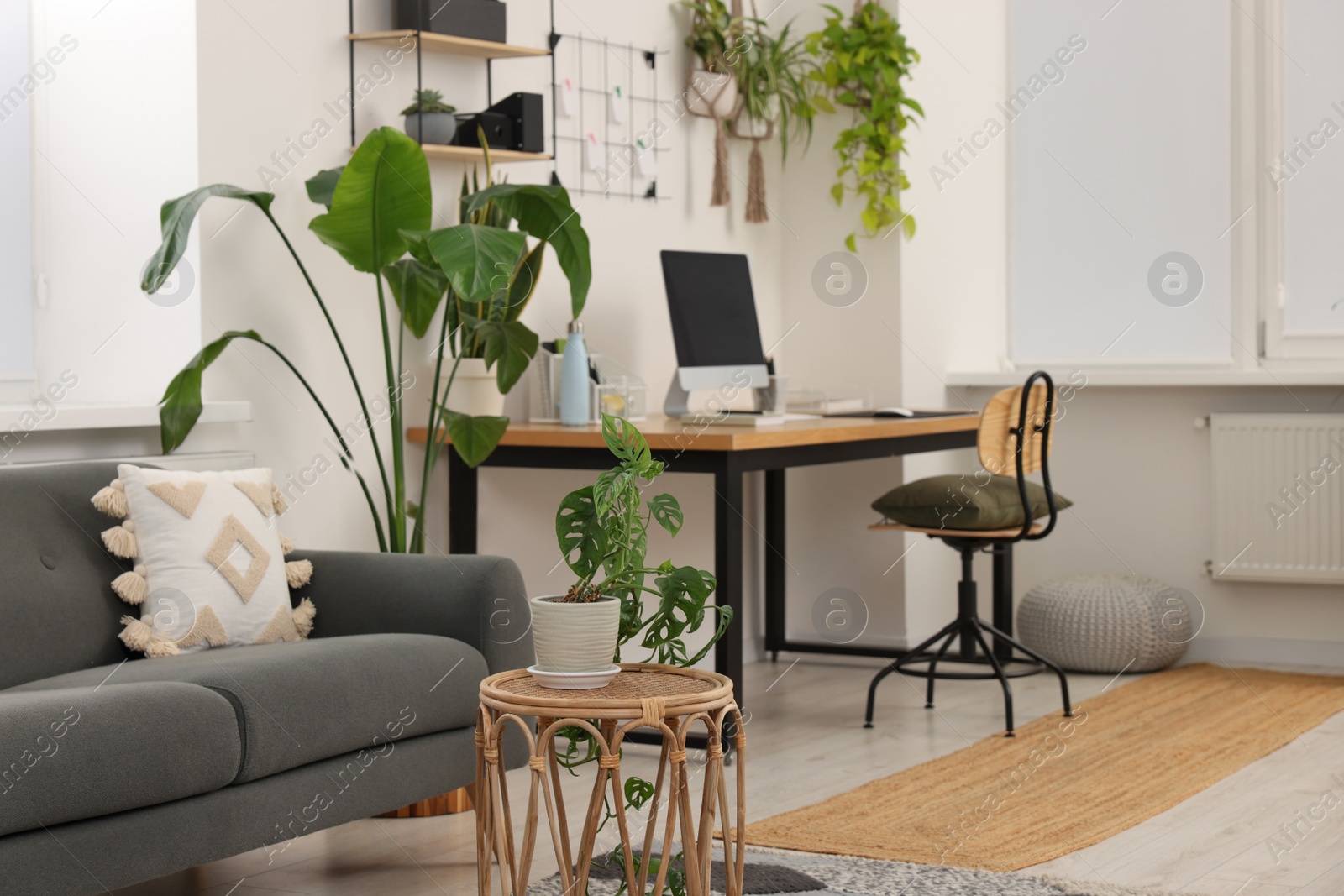 Photo of Cozy workplace with computer, modern furniture and houseplants at home