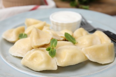 Photo of Plate of delicious dumplings (varenyky) with cottage cheese, mint and sour cream, closeup