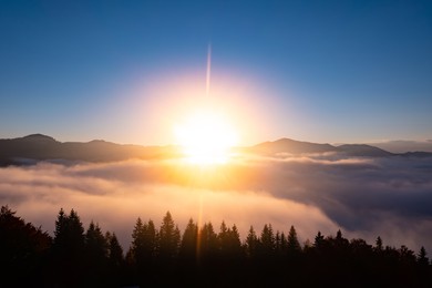Image of Sun shining over misty autumn forest in mountains. Drone photography