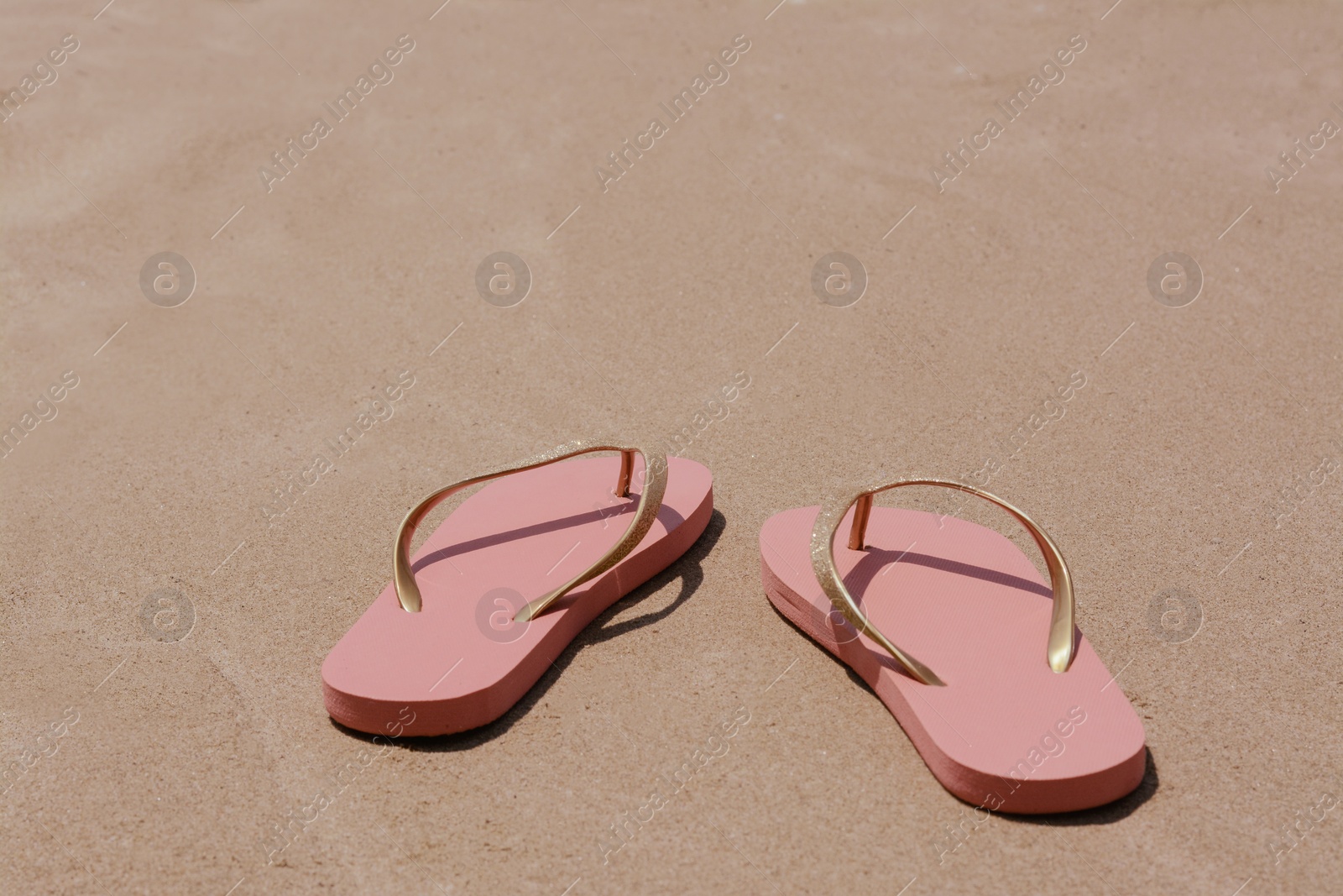 Photo of Stylish pink flip flops on wet sand. Space for text