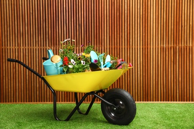 Wheelbarrow with flowers and gardening tools near wooden wall. Space for text