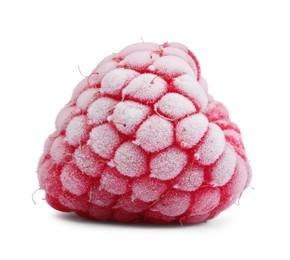 One tasty frozen raspberry isolated on white