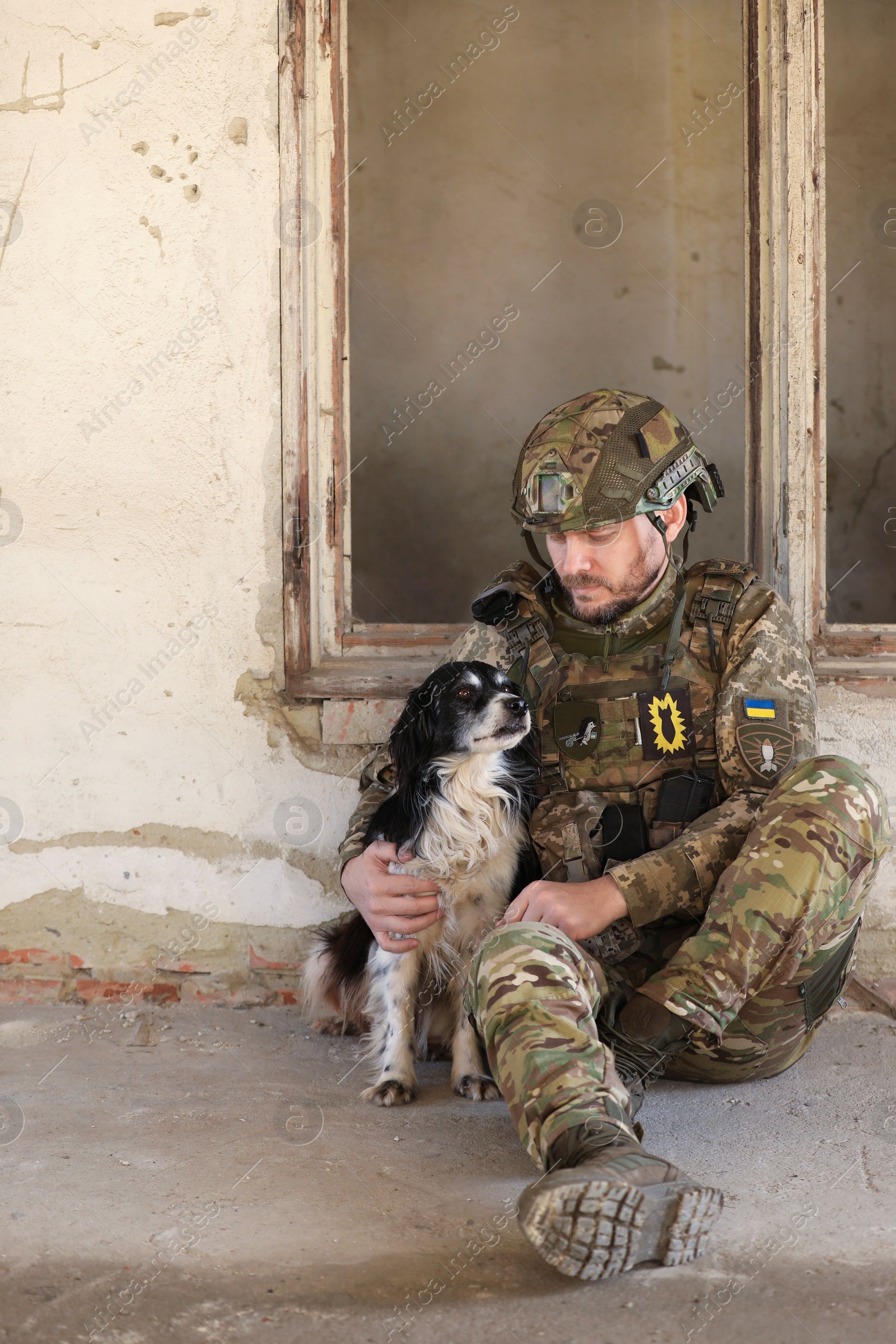 Photo of Ukrainian soldier sitting with stray dog in abandoned building