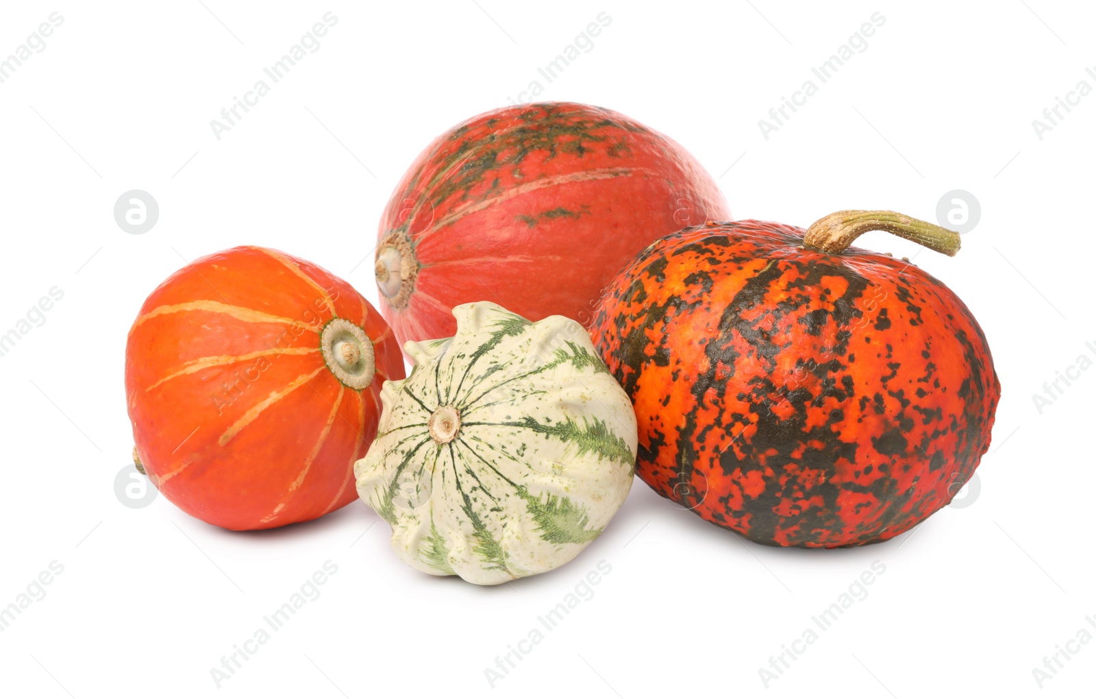 Photo of Different fresh ripe pumpkins isolated on white