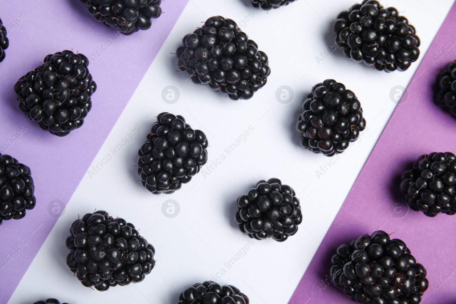 Photo of Flat lay composition with ripe blackberries on color background