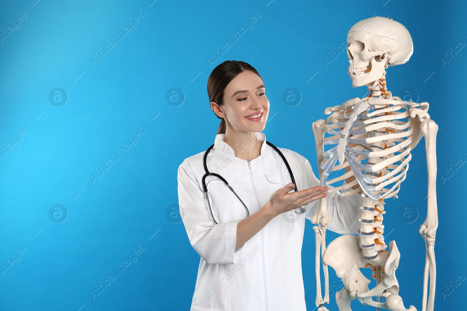 Photo of Female orthopedist with human skeleton model on blue background