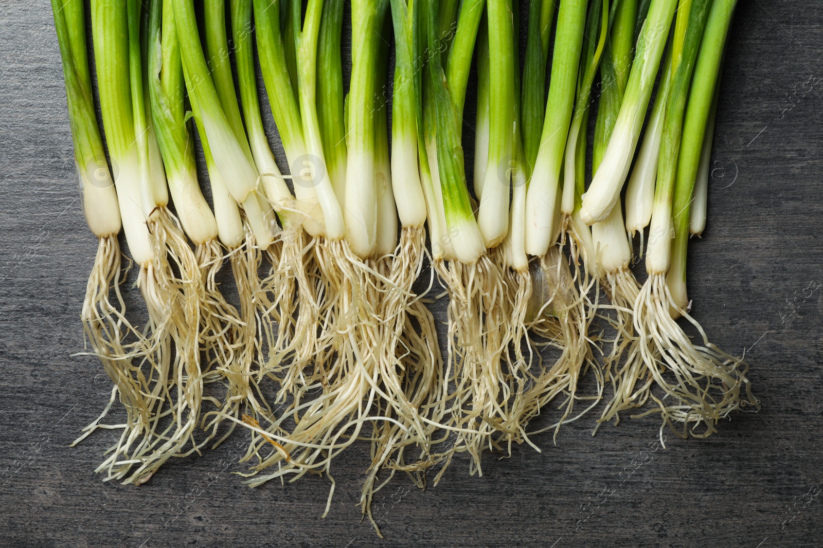 Photo of Fresh green spring onions on black wooden table, flat lay