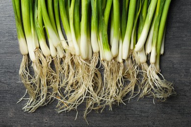 Fresh green spring onions on black wooden table, flat lay