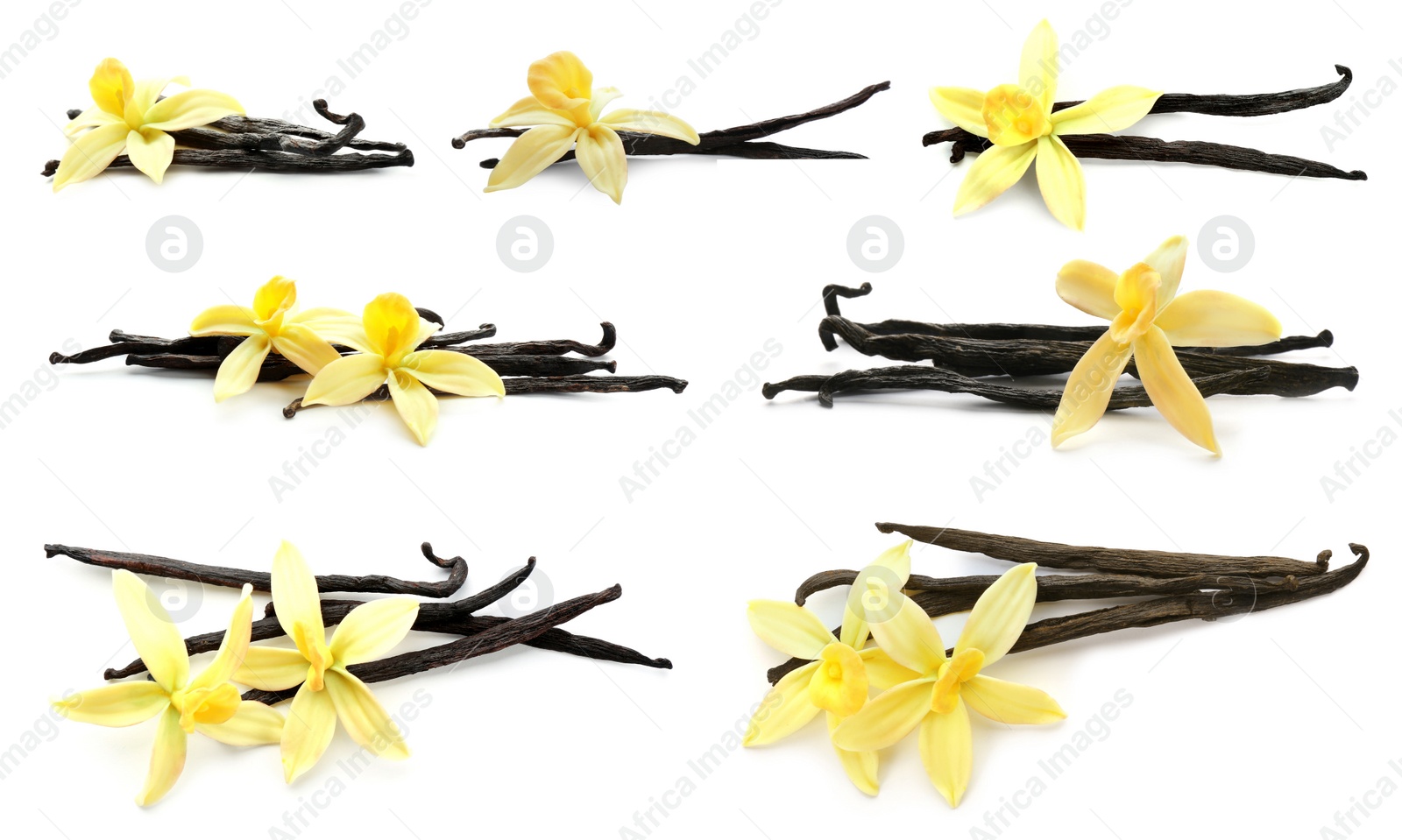 Image of Set with aromatic vanilla pods and flowers on white background