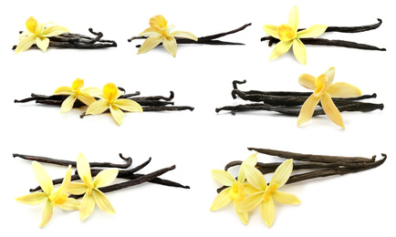 Image of Set with aromatic vanilla pods and flowers on white background