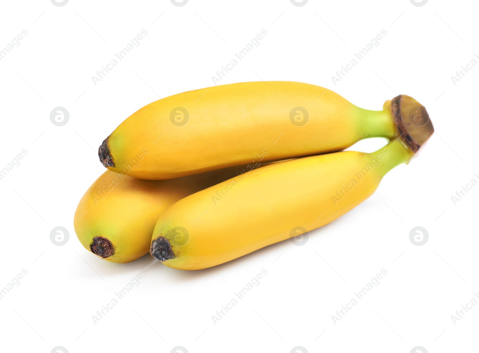 Photo of Cluster of ripe baby bananas on white background