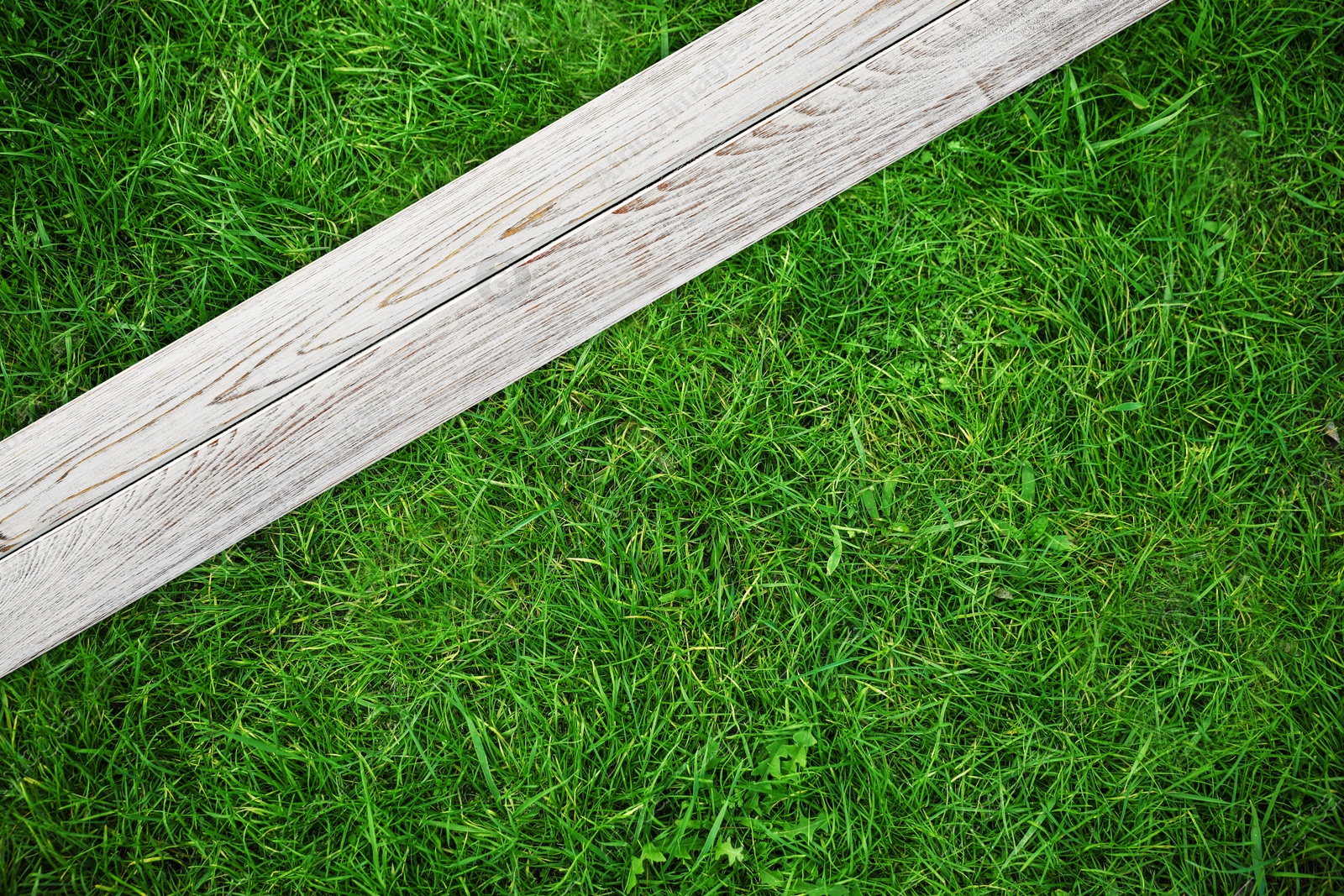 Image of Fresh green grass and white wooden plank outdoors, top view