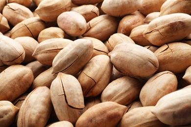 Photo of Pecan nuts in shell as background. Nutritive food