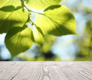 Image of Empty wooden surface against blurred green background. Sunny morning 