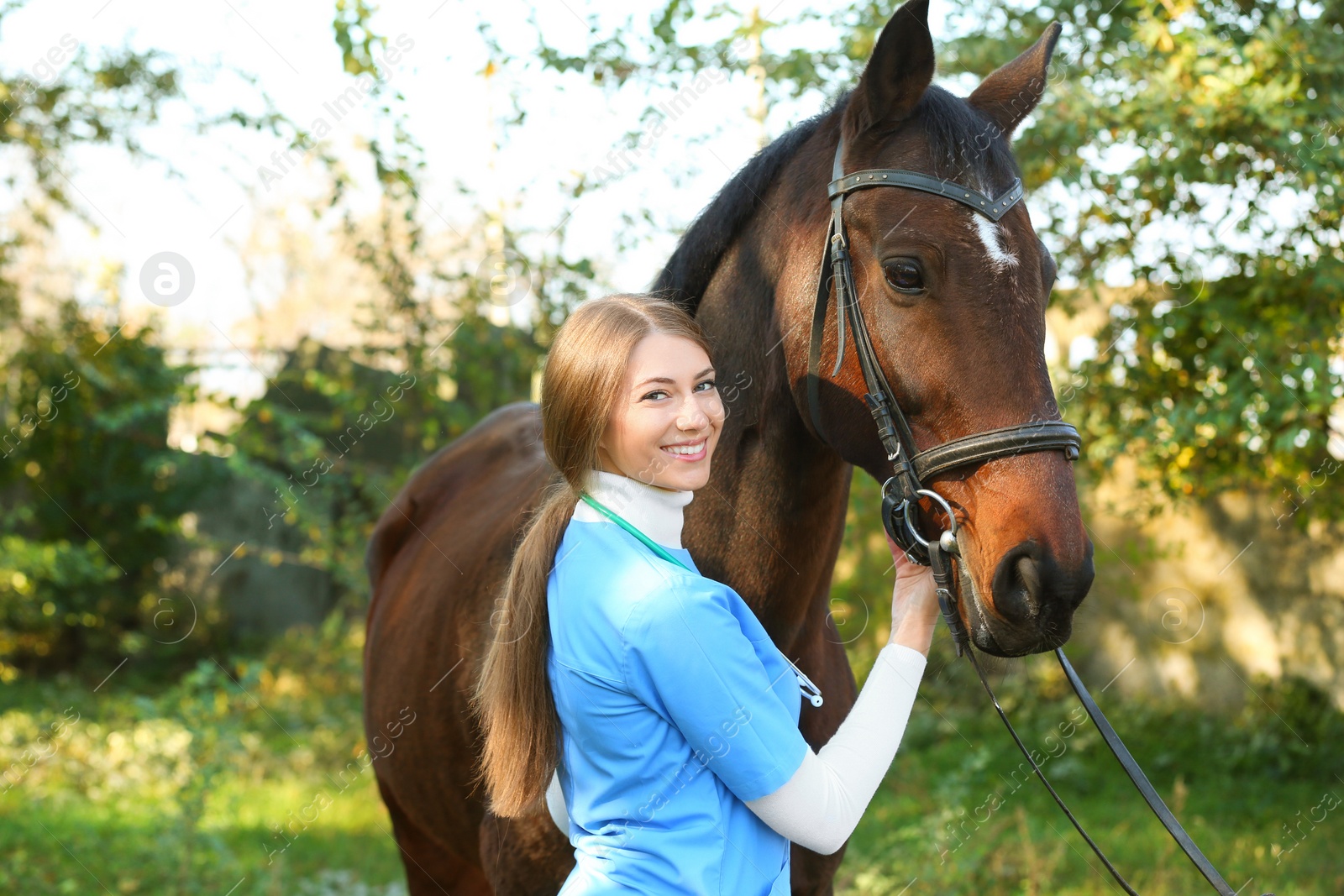 Photo of Veterinarian in uniform with beautiful brown horse outdoors. Space for text