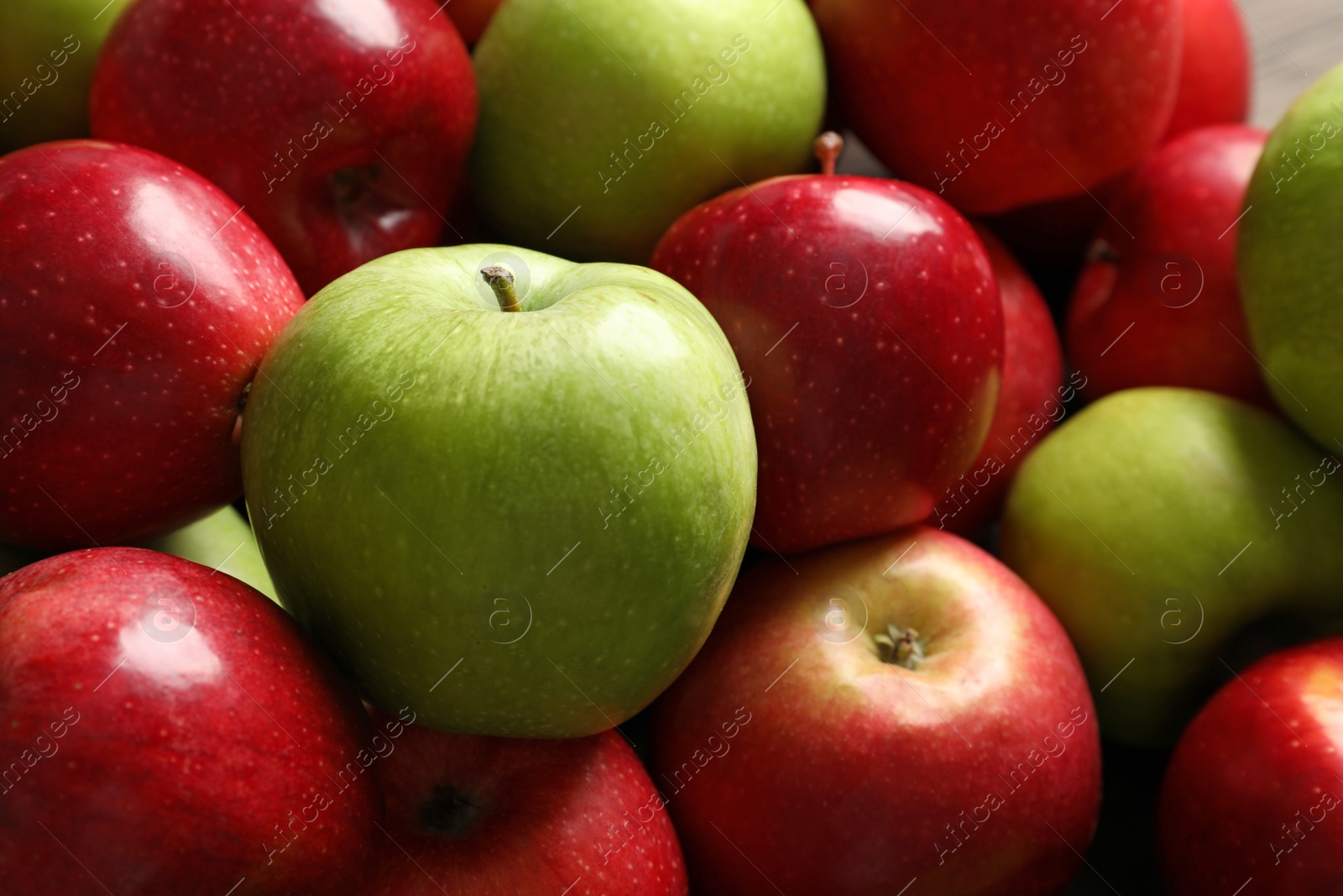 Photo of Fresh red and green apples, closeup