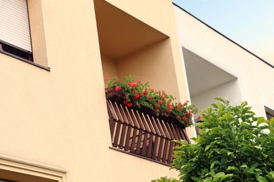 Wooden balcony decorated with beautiful red flowers