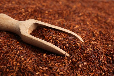 Photo of Heap of dry rooibos tea leaves with wooden scoop, closeup view
