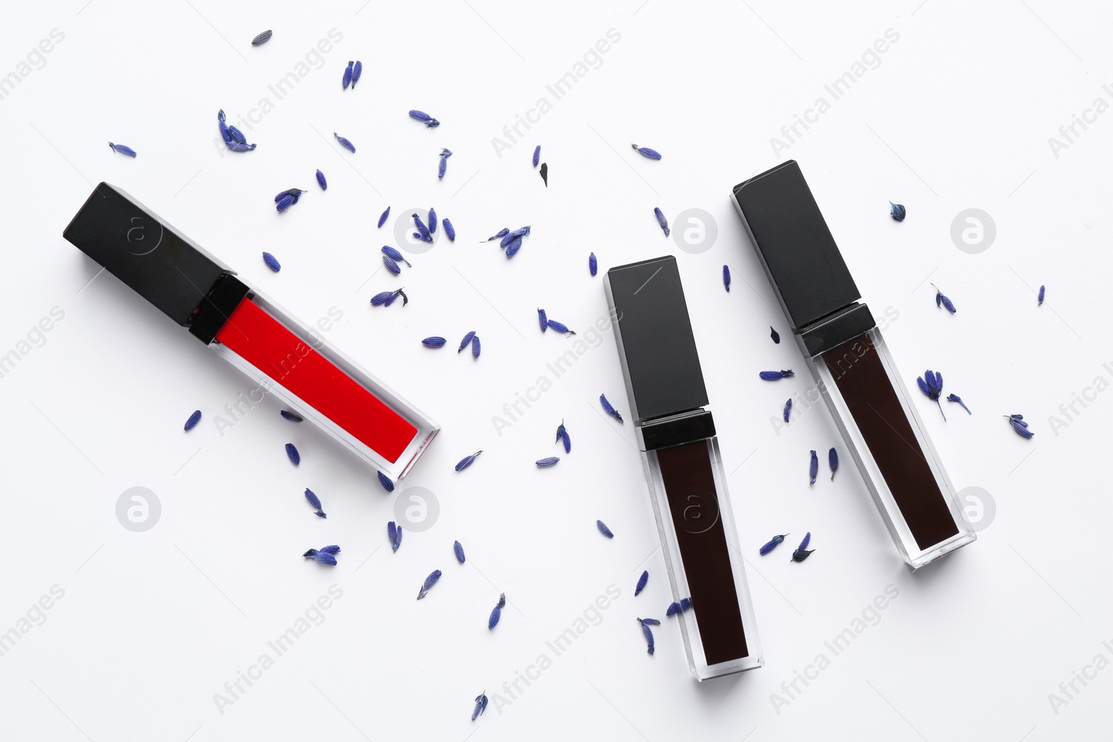 Photo of Different lip glosses and flowers on white background, flat lay