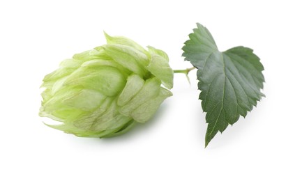 Photo of Fresh hop flower with leaf isolated on white