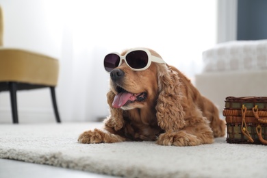 Photo of Cute English Cocker Spaniel in sunglasses near suitcase indoors. Pet friendly hotel