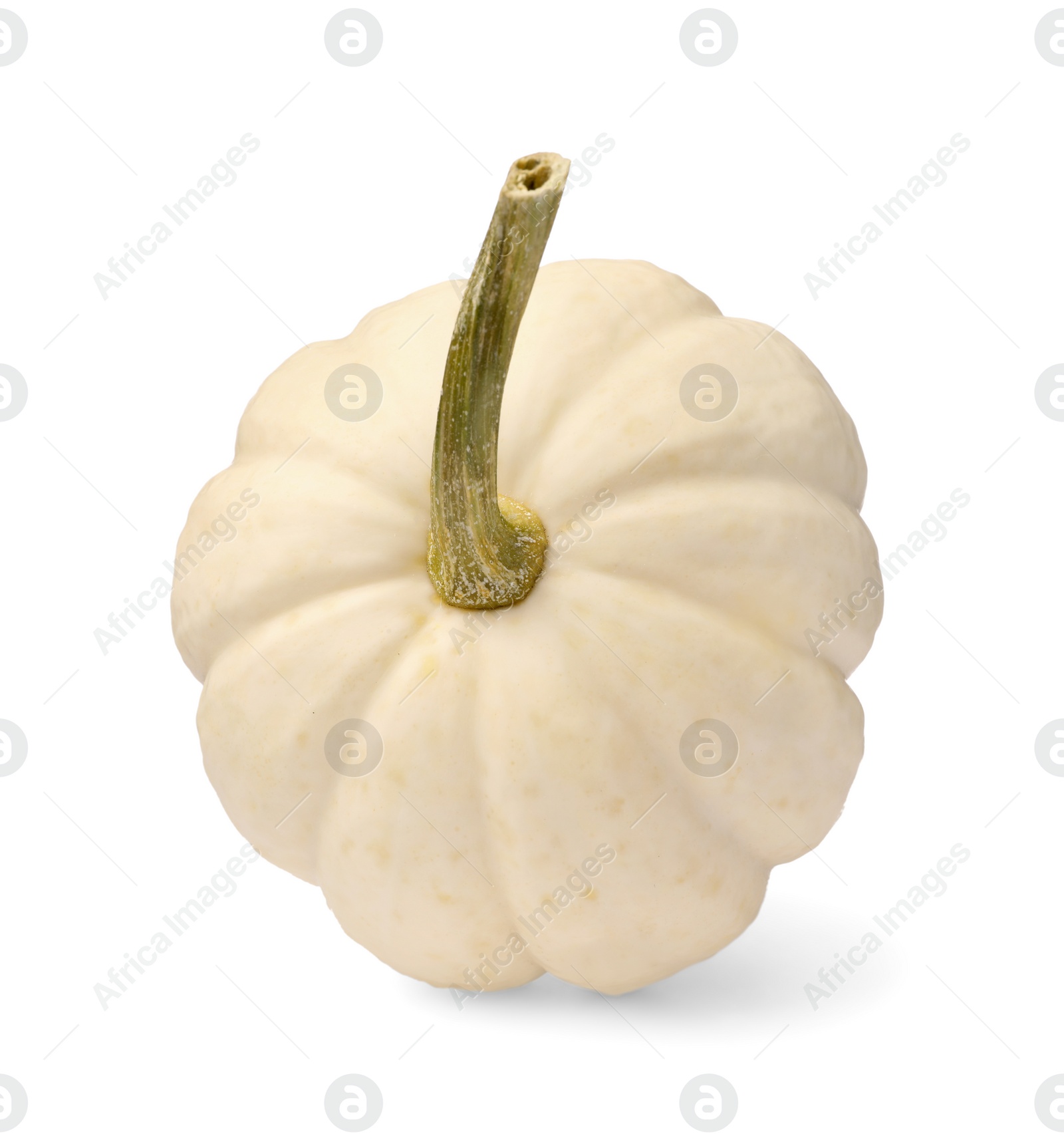 Photo of One whole ripe pumpkin isolated on white