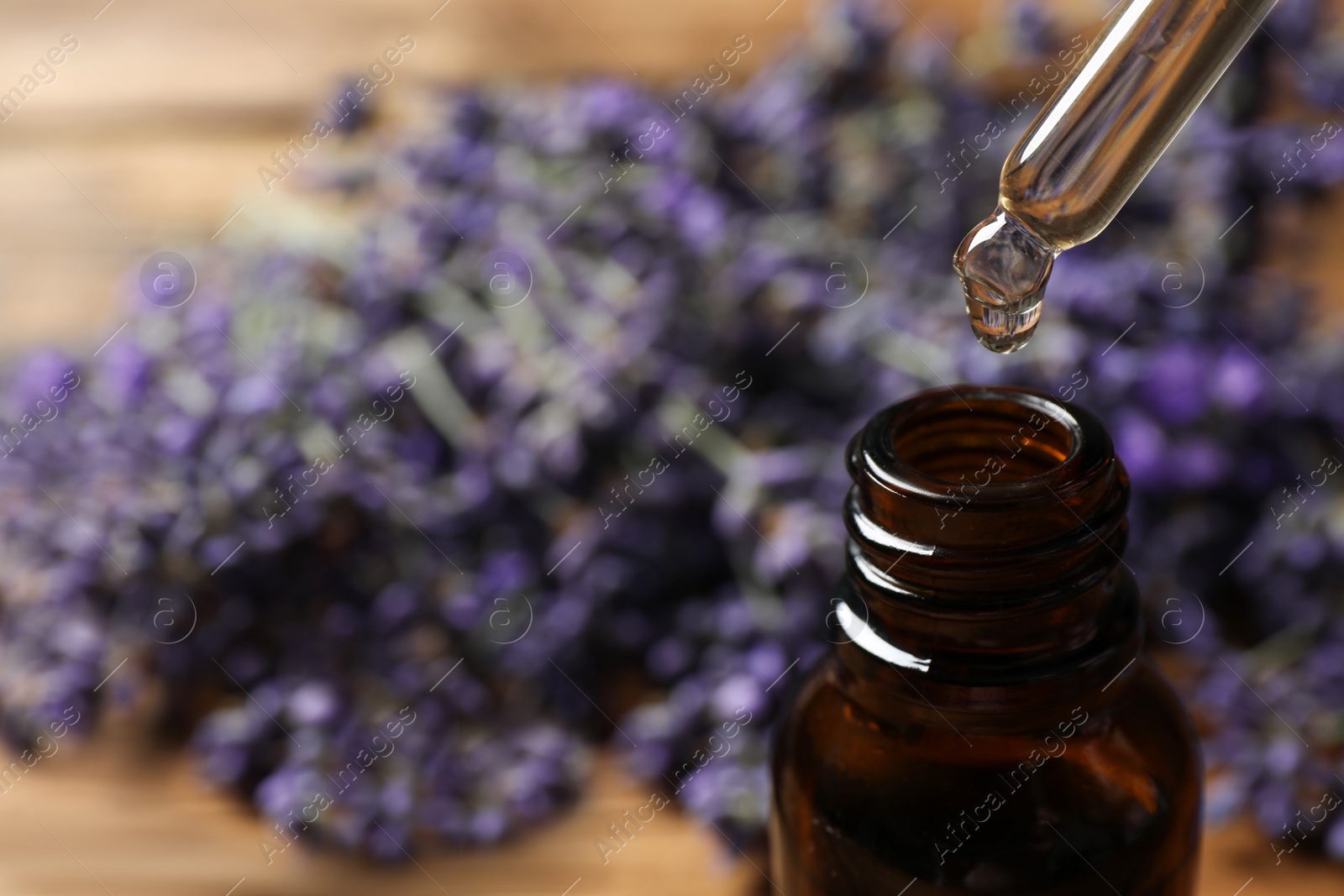 Photo of Dripping lavender essential oil into bottle, closeup. Space for text