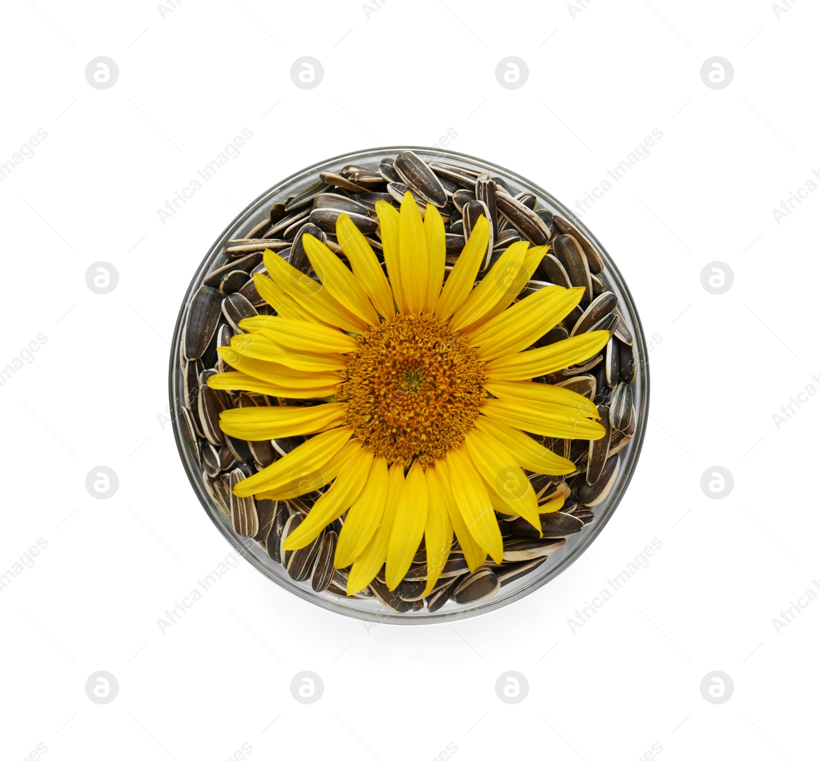 Photo of Bowl with sunflower and seeds on white background, top view