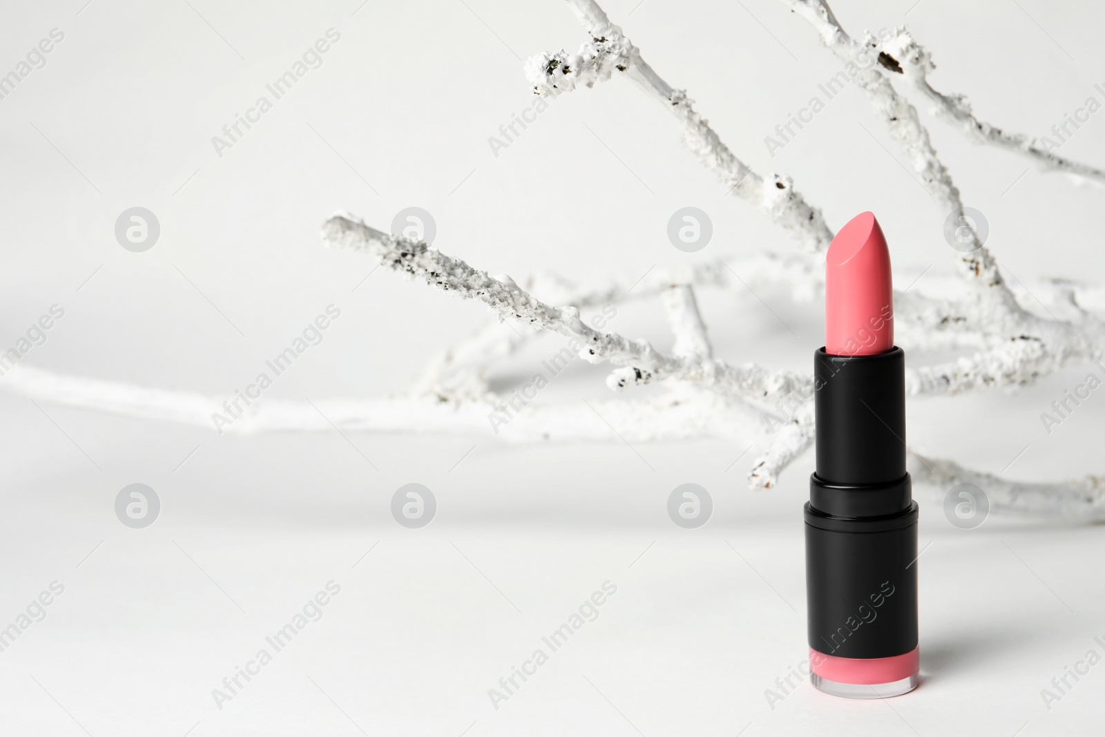 Photo of Beautiful pink lipstick and decorative branch on white background, space for text