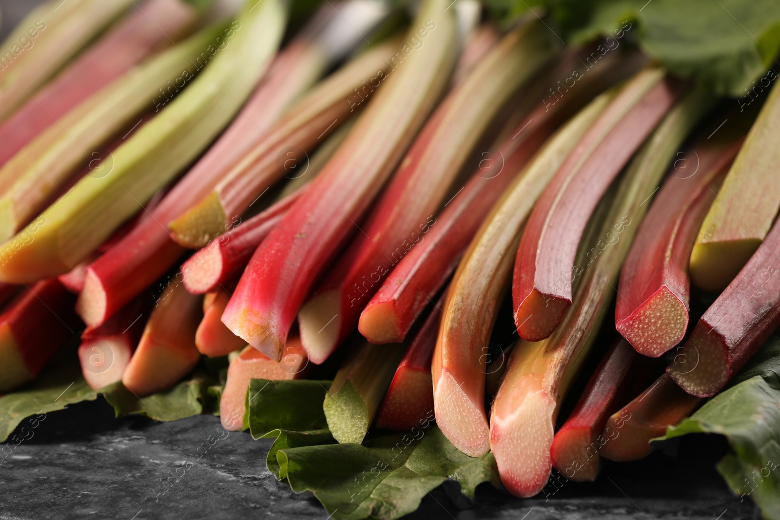 Photo of Many ripe rhubarb stalks and leaves on dark table, closeup