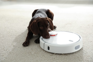 Photo of Modern robotic vacuum cleaner and German Shorthaired Pointer dog on floor indoors