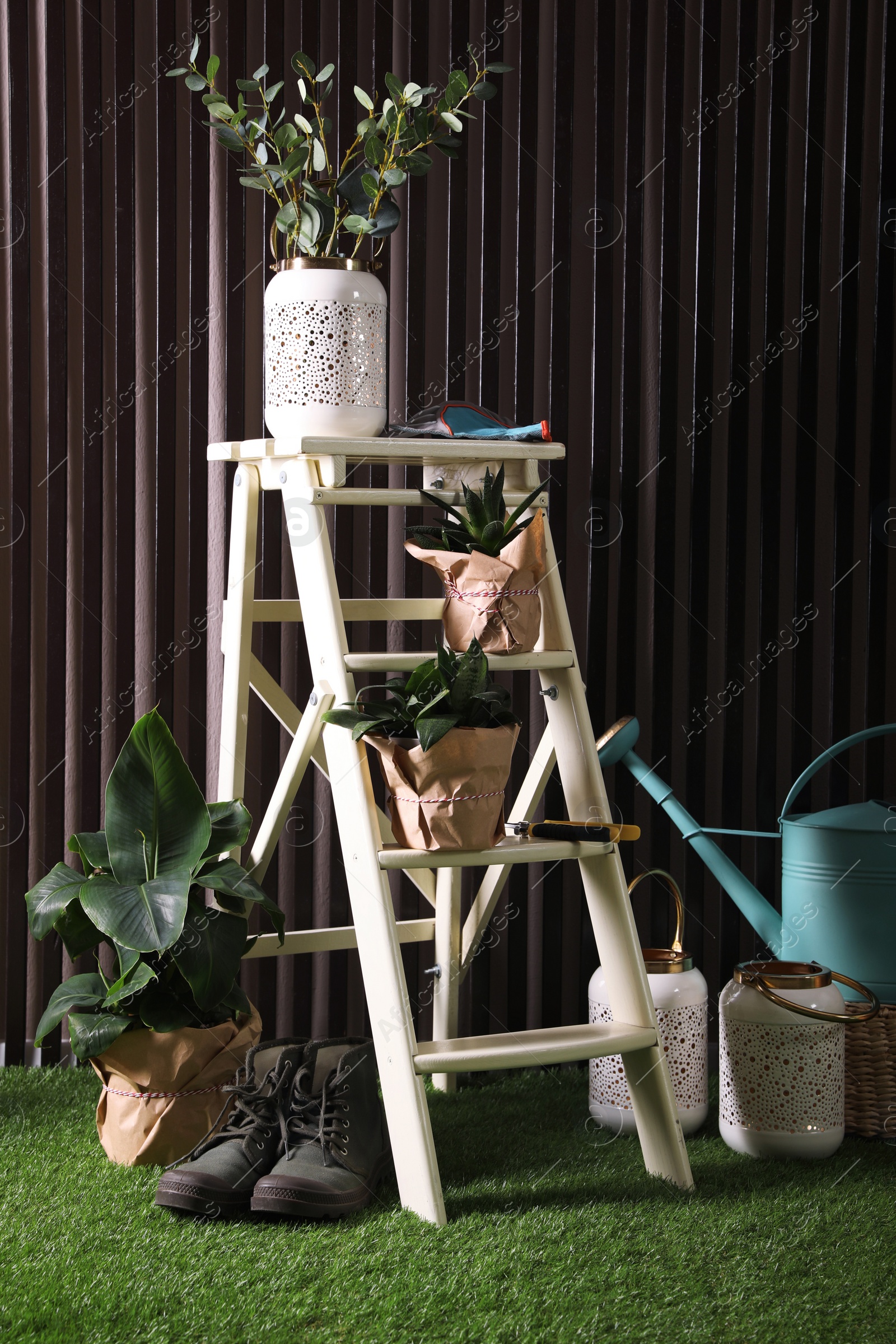 Photo of Beautiful plants, gardening tools and accessories on green grass near wood slat wall