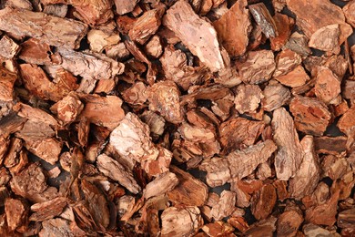 Photo of Tree bark pieces as background, top view