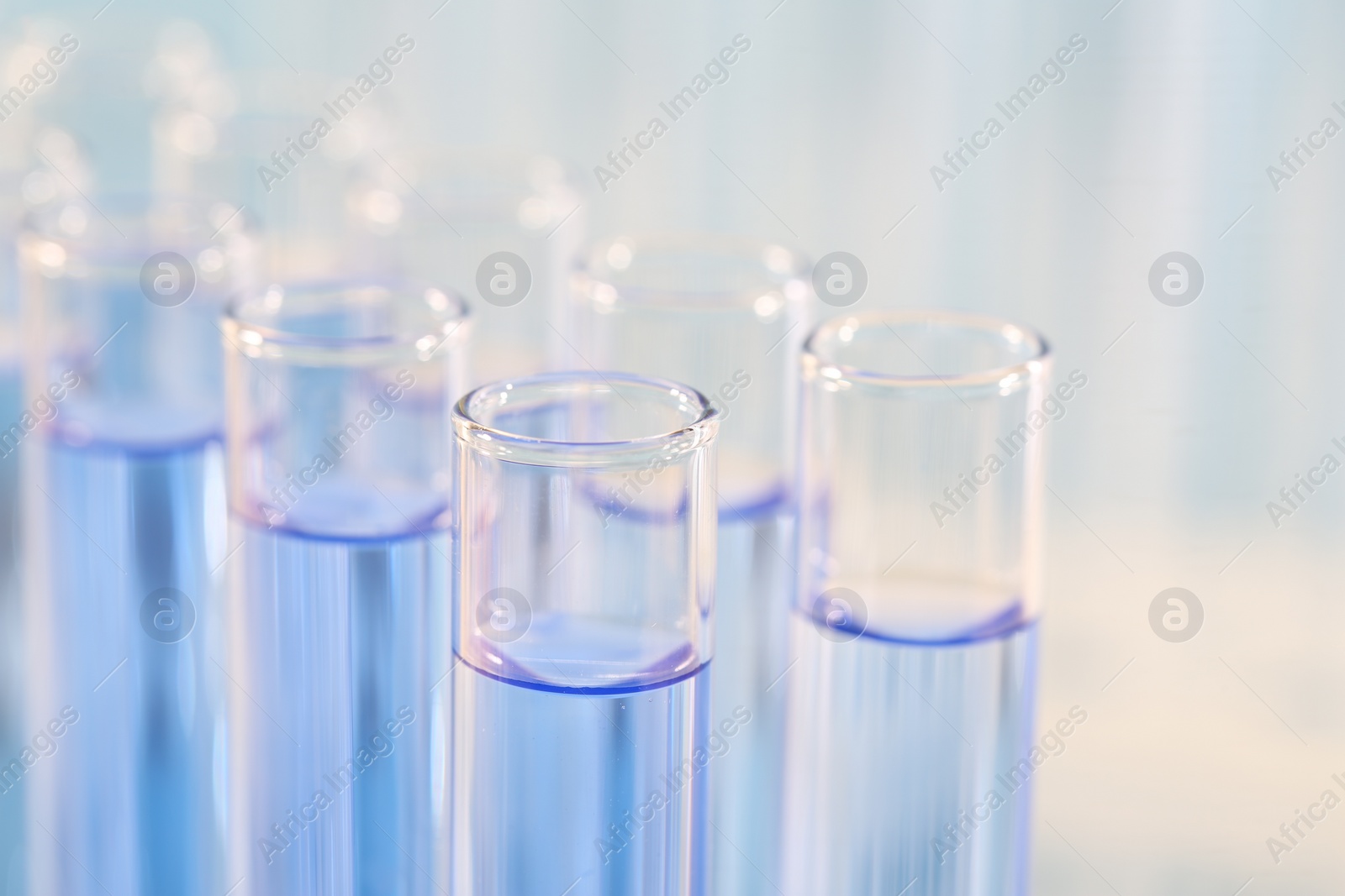 Photo of Laboratory analysis. Many glass test tubes with light blue liquid on blurred background, closeup