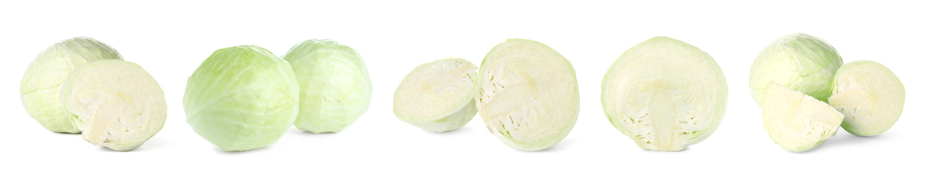 Image of Set of fresh ripe cabbages on white background. Banner design