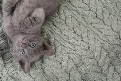 Cute fluffy kitten on blanket, top view. Baby animal