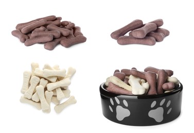 Set with different bone shaped dog cookies on white background