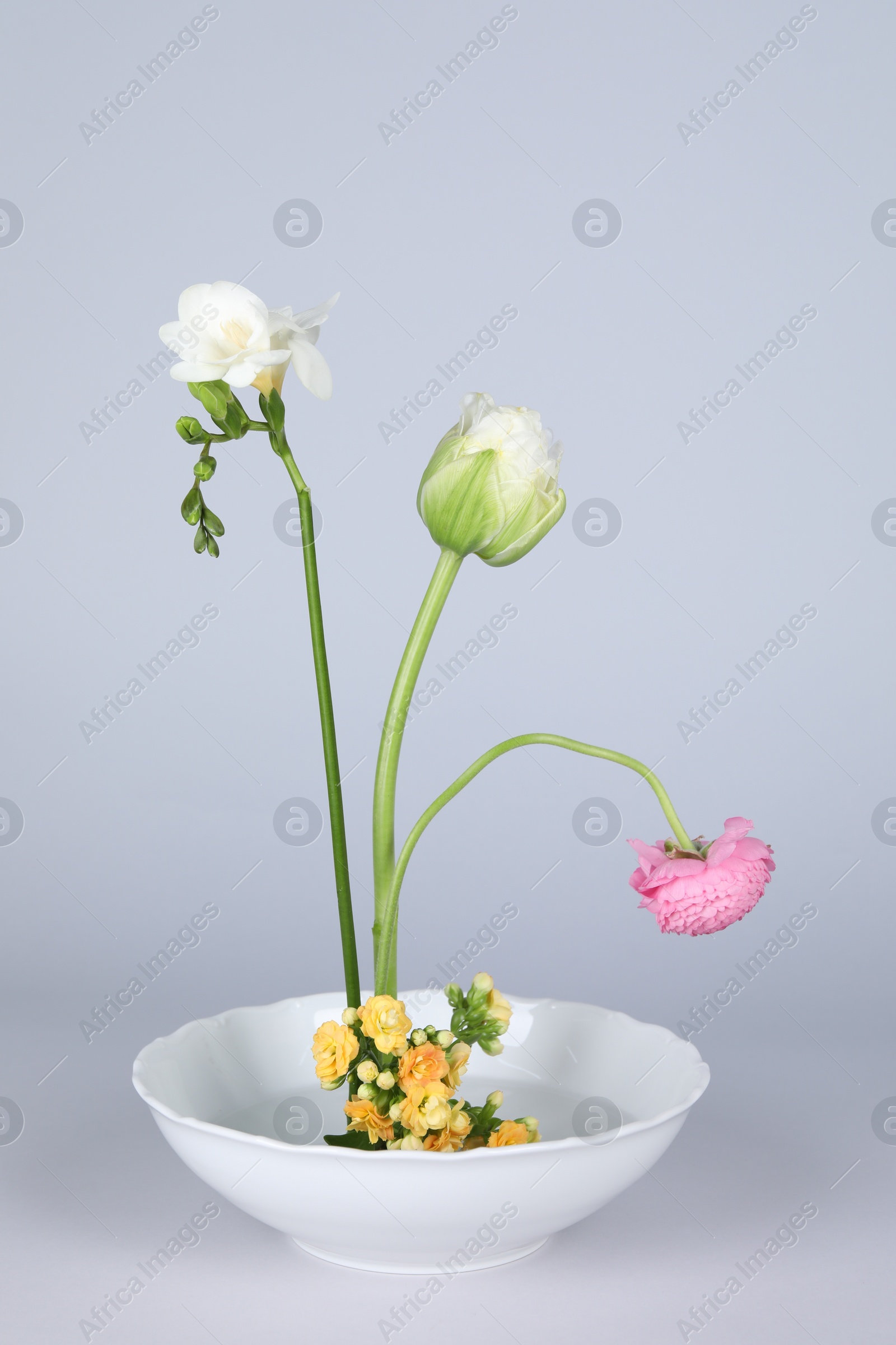 Photo of Stylish ikebana as house decor. Beautiful fresh flowers on white background