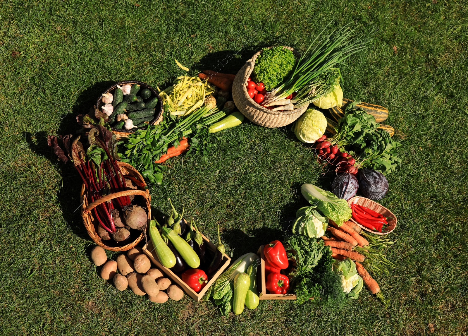 Photo of Frame of different fresh ripe vegetables on green grass, top view. Space for text