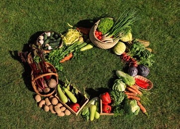 Frame of different fresh ripe vegetables on green grass, top view. Space for text