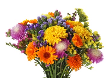 Photo of Bunch of beautiful wild flowers on white background