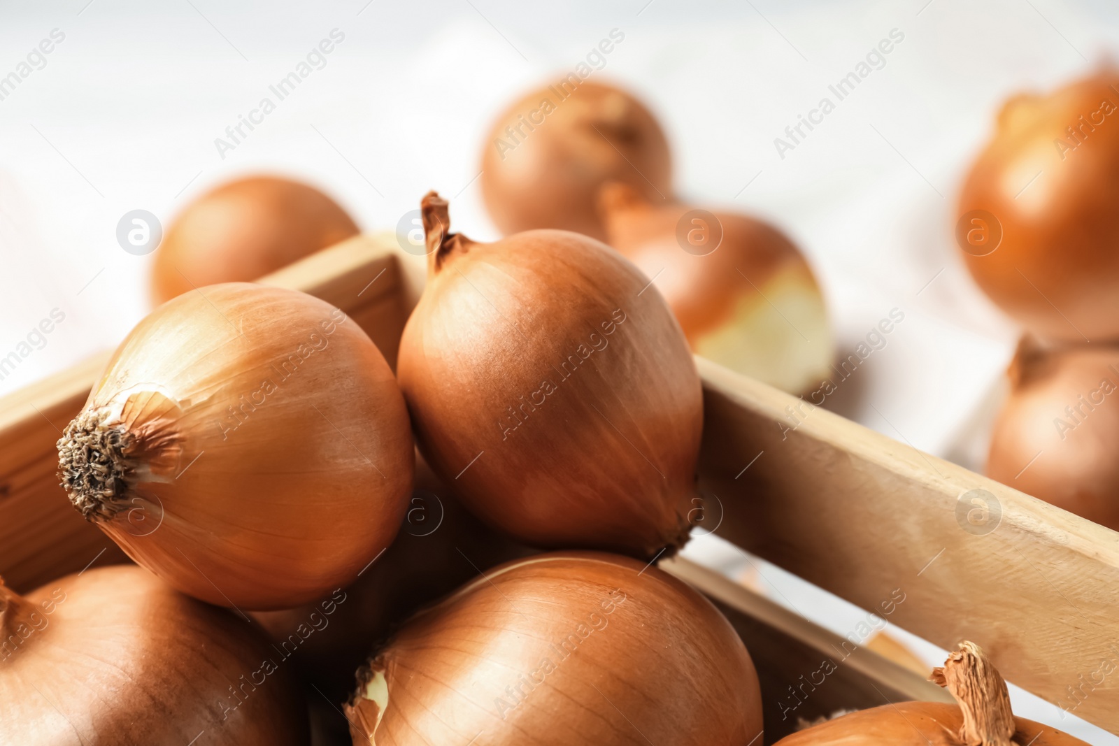 Photo of Ripe yellow onion bulbs in wooden crate, closeup