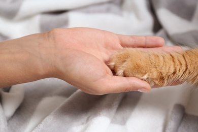 Photo of Woman and cat holding hands together on warm blanket, closeup view
