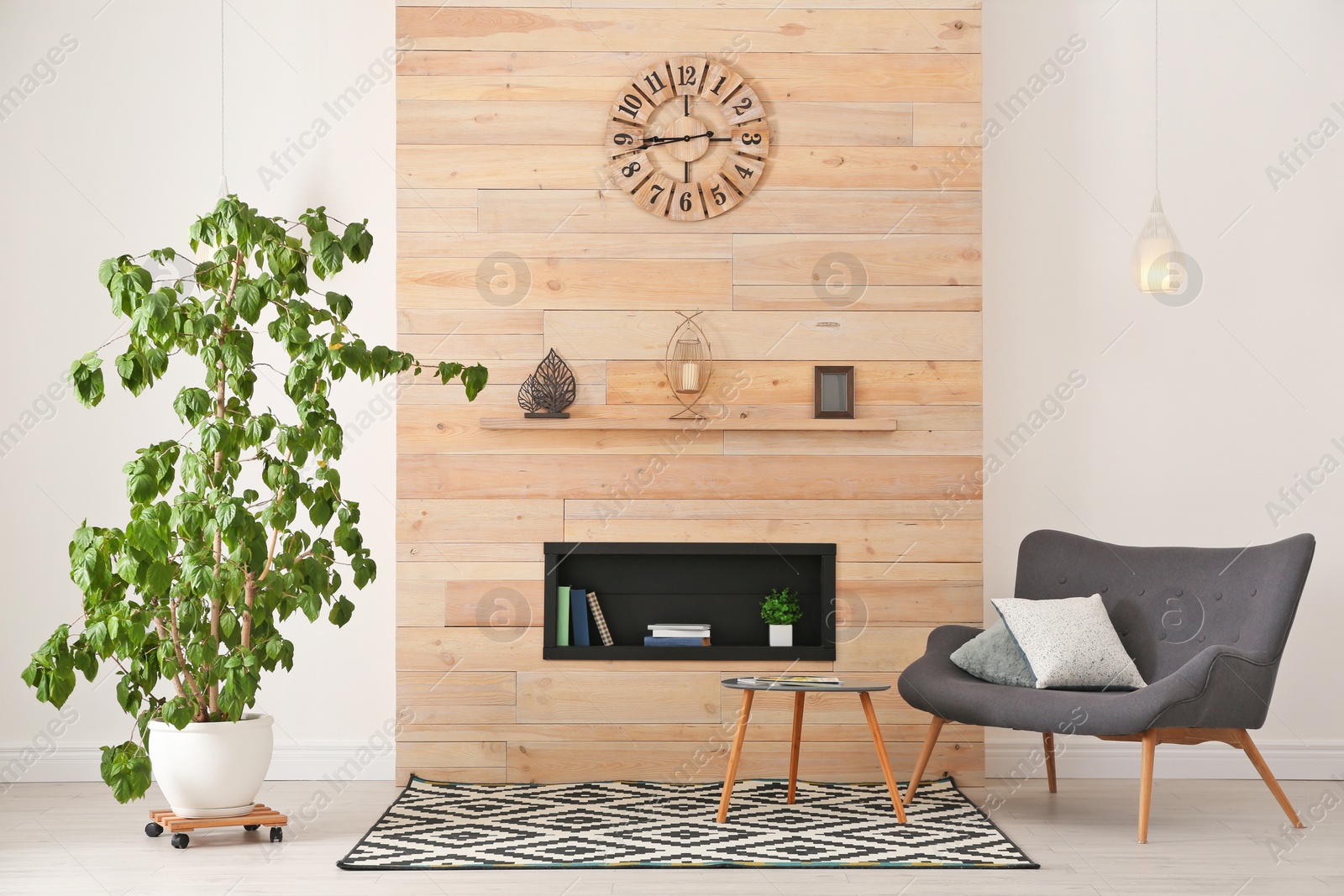 Photo of Stylish room interior with large houseplant, armchair and carpet