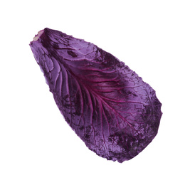 Fresh red cabbage leaf isolated on white